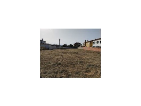 IMG_1046