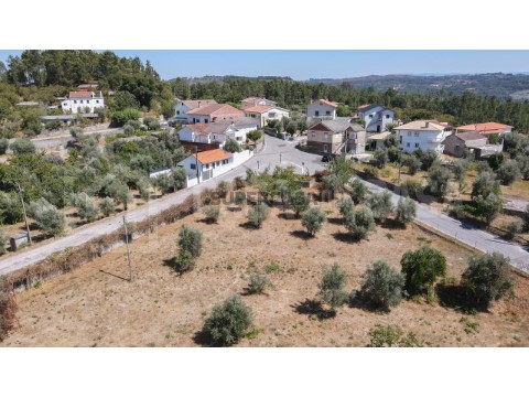 Terrein Op Fragosela, Viseu