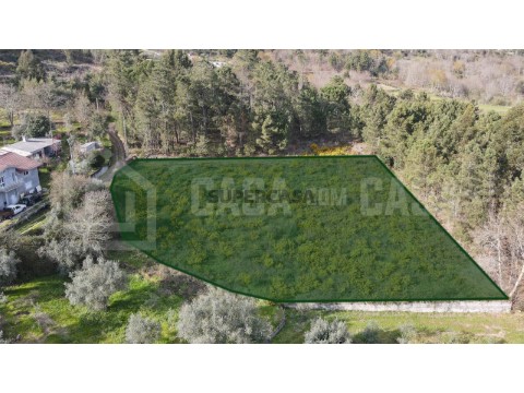 Terreno em Rio de Loba, Viseu