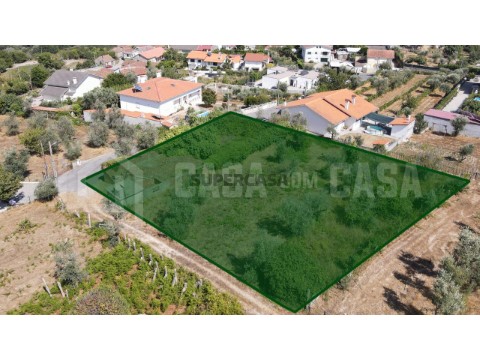 Terreno em Bodiosa, Viseu