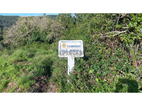 Venda Terreno em Vale Moreira, Santo Isidoro, Mafra