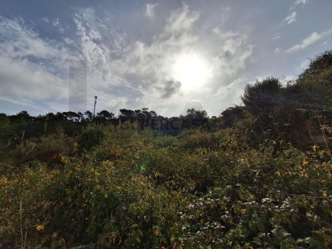 Moradia T0 em Freiria, Torres Vedras