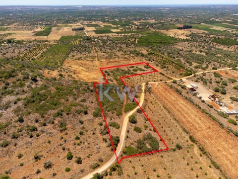 Terreno em São Bartolomeu de Messines, Silves