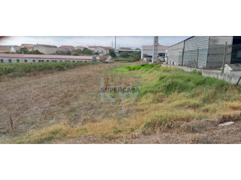 Terreno em União Freguesias Santa Maria, São Pedro e Matacães, Torres Vedras