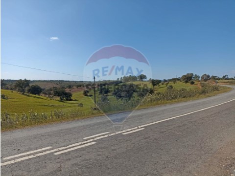 Terreno em Serpa (Salvador e Santa Maria), Serpa