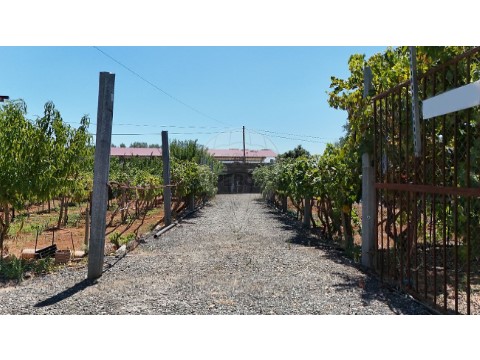 Terreno em Serpa (Salvador e Santa Maria), Serpa