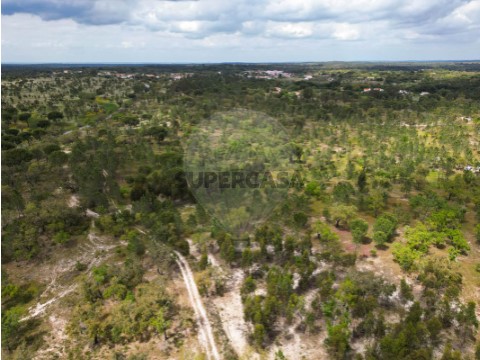 Terreno em Cortiçadas de Lavre, Montemor-o-Novo