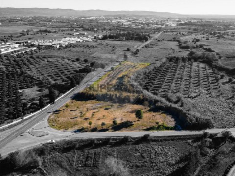 Terreno em Pedrógão, Vidigueira