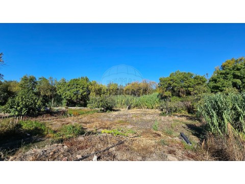 Terreno em Ciborro, Montemor-o-Novo
