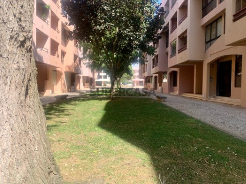 T2 Guia (13)