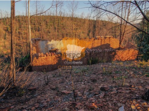 Terreno em Silves, Silves