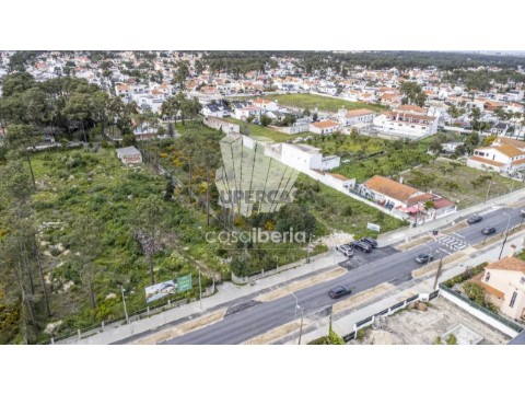Vista Panorâmica