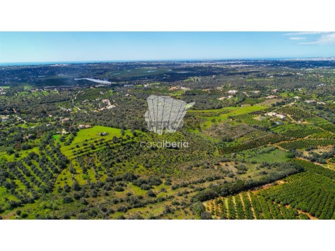 Vista Panorâmica