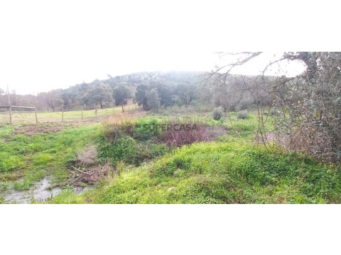 Terreno em Marmelete, Monchique