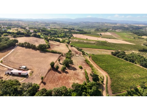 Terreno Rústico em Carvalhal, Bombarral