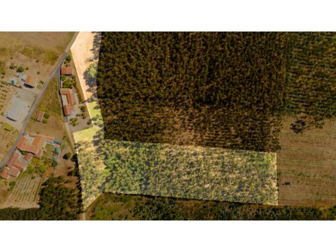 dji-20250716163412-0011-d-1
