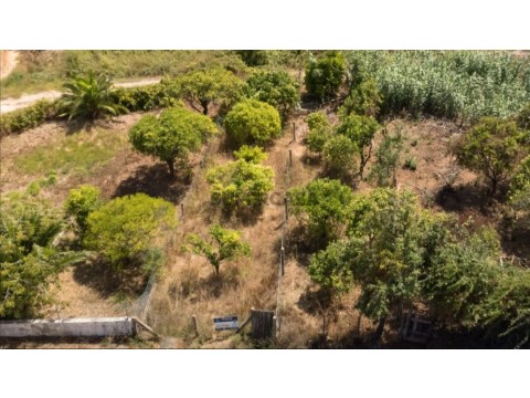dji-20260810150602-0001-d
