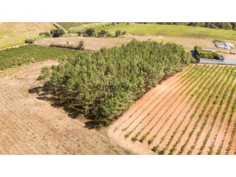 dji-20260810153726-0026-d