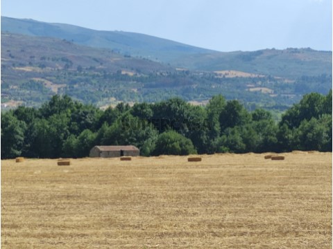 Boerderij  Op Melo e Nabais, Gouveia