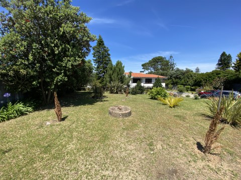 Jardim