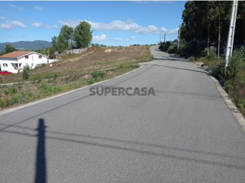 Vista 1