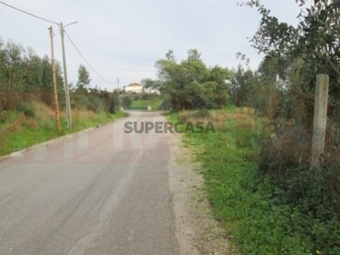 Lote em Antuzede e Vil de Matos, Coimbra
