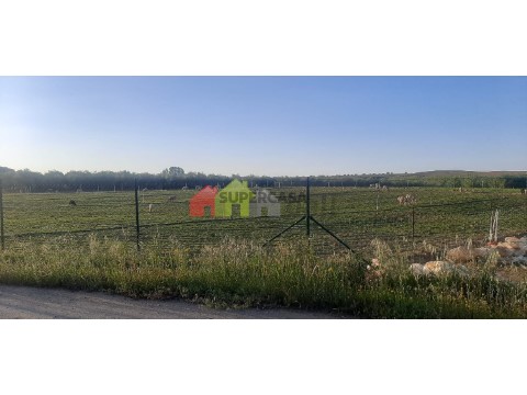 Terreno em Nossa Senhora das Neves, Beja