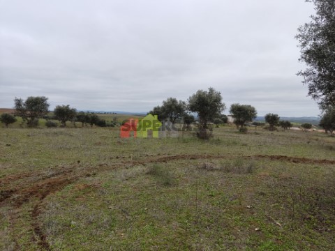 Terreno em Baleizão, Beja
