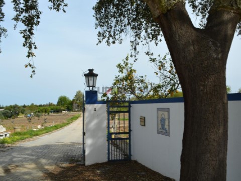 Ferme 12 Chambres au Santiago Maior e São João Baptista, Beja