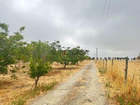 Boerderij 3 kamers Op Santiago Maior e São João Baptista, Beja