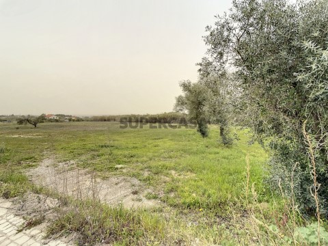 Terreno Cabanas (5)