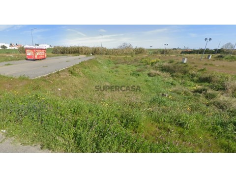Lote 163