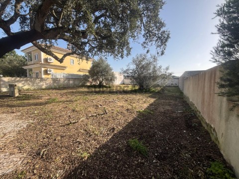 Terreno
