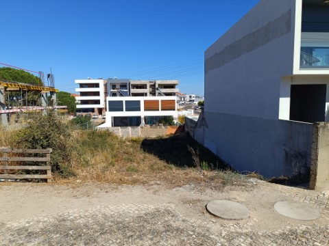 Foto terreno (2)