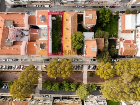Localização 81