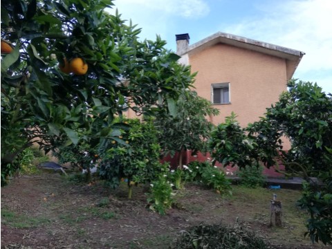 IMG-20230919-WA0069