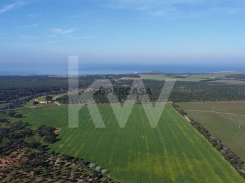 Herdade 248ha localizada nas proximidades de Porto Covo e a uns meros passos da tranquila Praia dos Aivados, no litoral alent...