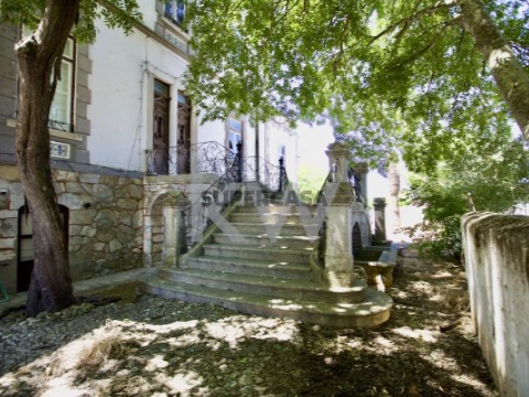 Palacete em Serpa: Uma Oportunidade Imperdível para apaixonados do Alentejo e Investidores