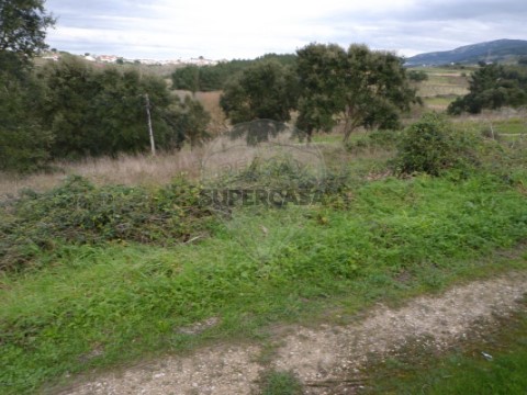 Terreno em Vilar, Cadaval