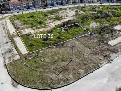 Lote em Mangualde, Mesquitela e Cunha Alta, Mangualde