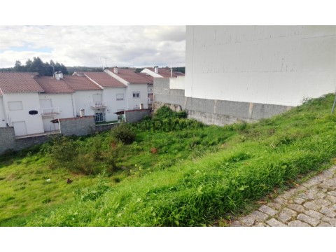 Lote em Mundão, Viseu