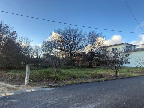 Terreno em Mangualde, Mesquitela e Cunha Alta, Mangualde