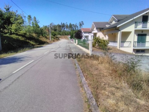 Perceel Op Calde, Viseu