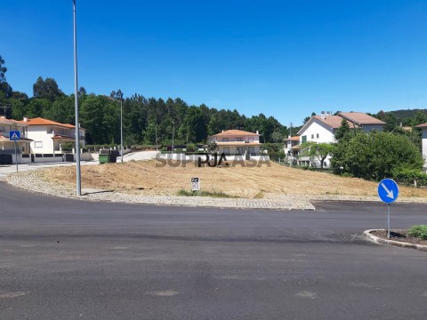 Lote em Sátão, Sátão