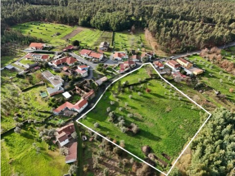 Terreno em Molelos, Tondela