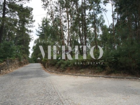 Terreno em Paradela, Barcelos