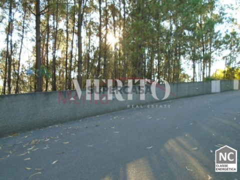 Terreno em Bougado (São Martinho e Santiago), Trofa