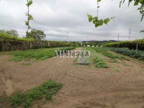 Terreno em Águas Santas, Maia