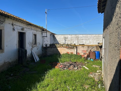 Jardim