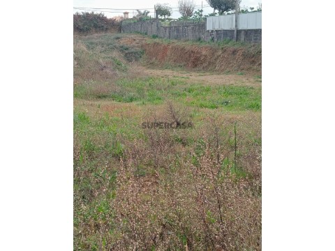 Lote Terremo